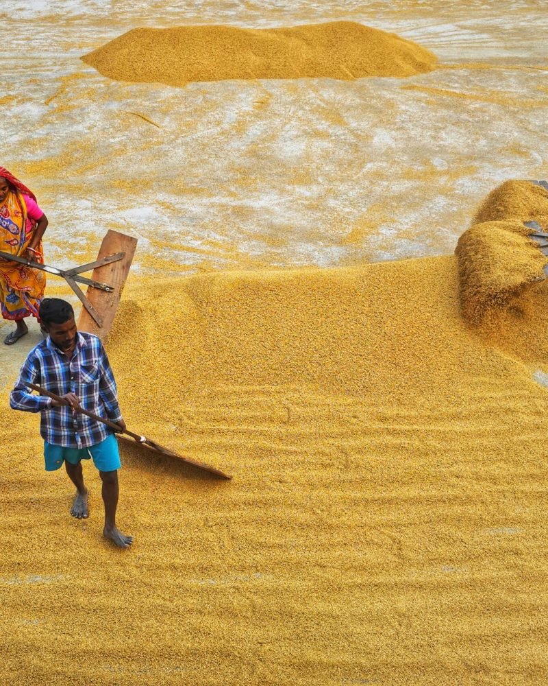 pexels-dibakar-roy-2432543-27896259